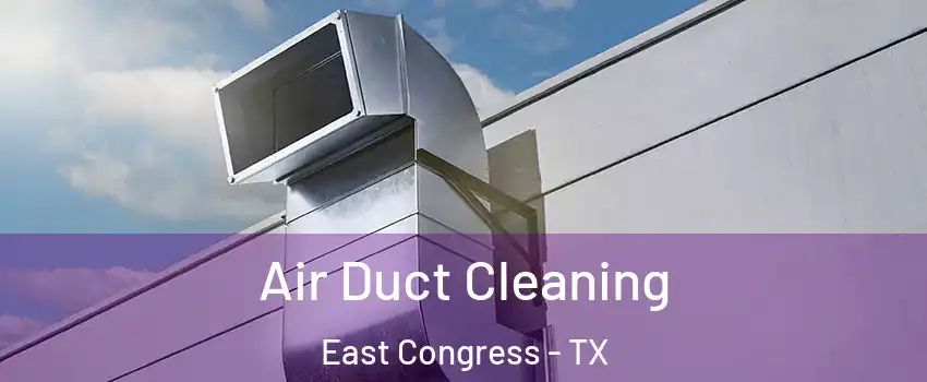 Air Duct Cleaning East Congress - TX