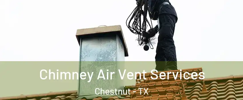 Chimney Air Vent Services Chestnut - TX