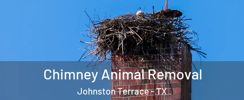 Chimney Animal Removal Johnston Terrace - TX