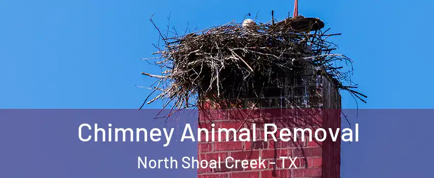 Chimney Animal Removal North Shoal Creek - TX