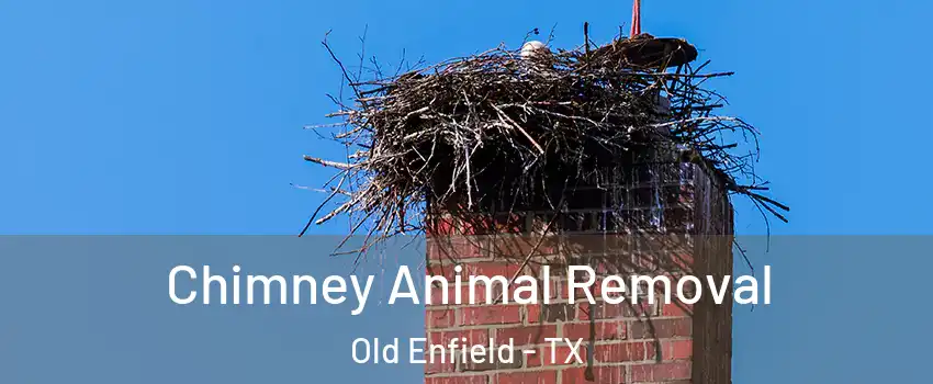 Chimney Animal Removal Old Enfield - TX