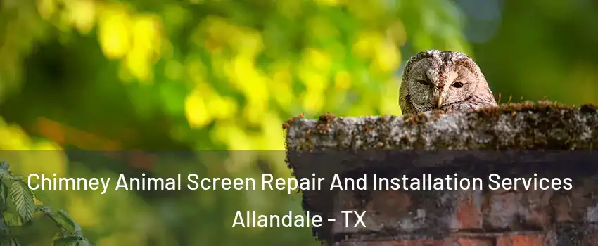 Chimney Animal Screen Repair And Installation Services Allandale - TX