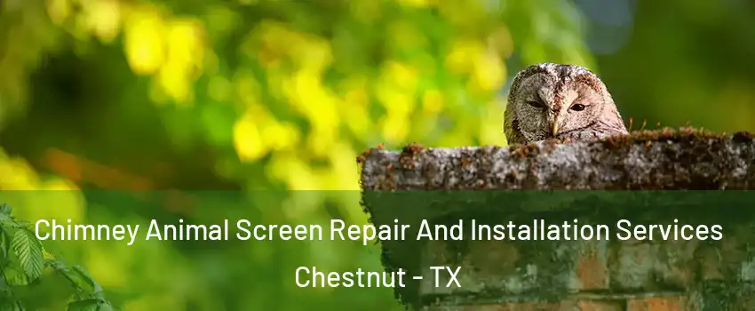 Chimney Animal Screen Repair And Installation Services Chestnut - TX