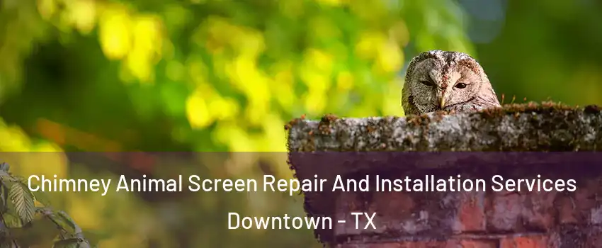 Chimney Animal Screen Repair And Installation Services Downtown - TX