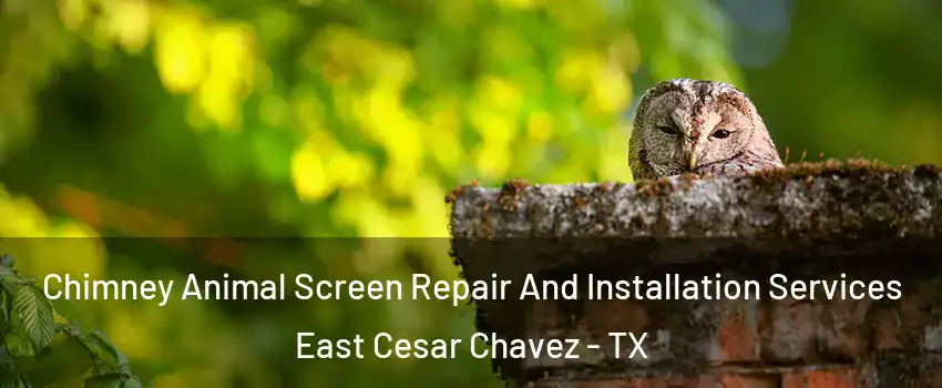 Chimney Animal Screen Repair And Installation Services East Cesar Chavez - TX