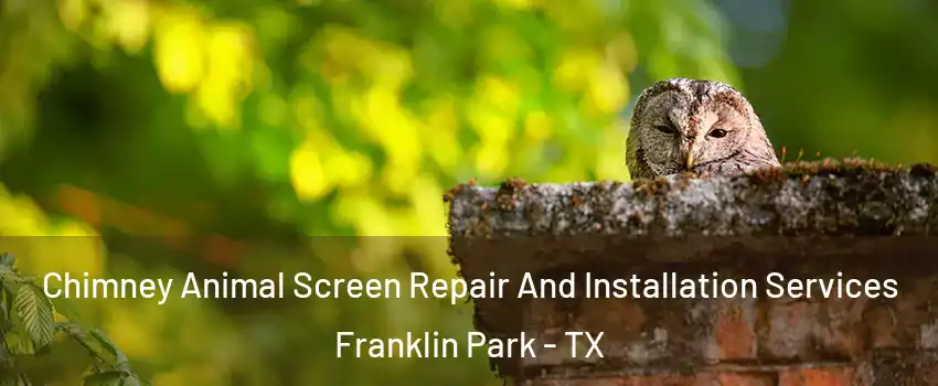 Chimney Animal Screen Repair And Installation Services Franklin Park - TX