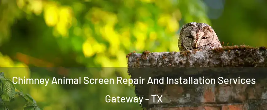 Chimney Animal Screen Repair And Installation Services Gateway - TX