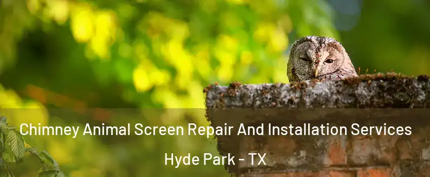 Chimney Animal Screen Repair And Installation Services Hyde Park - TX