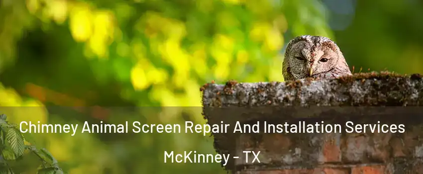 Chimney Animal Screen Repair And Installation Services McKinney - TX