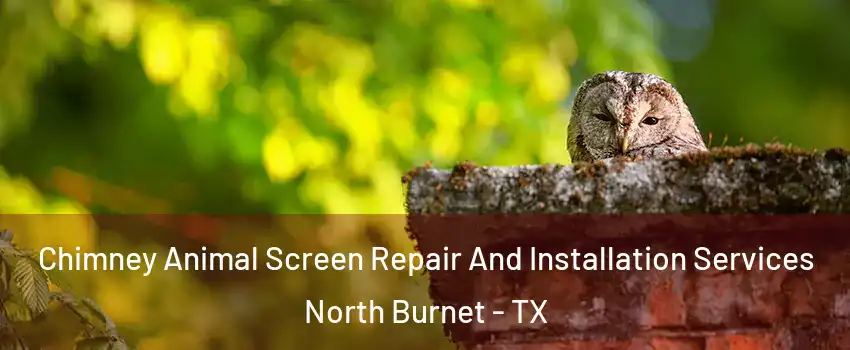 Chimney Animal Screen Repair And Installation Services North Burnet - TX