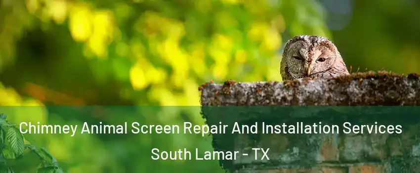 Chimney Animal Screen Repair And Installation Services South Lamar - TX