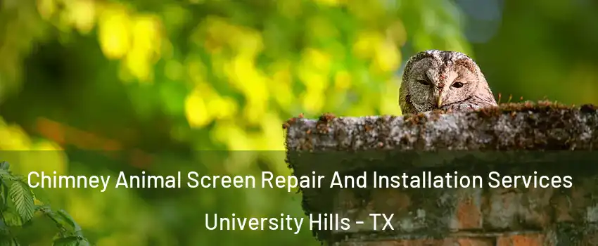 Chimney Animal Screen Repair And Installation Services University Hills - TX