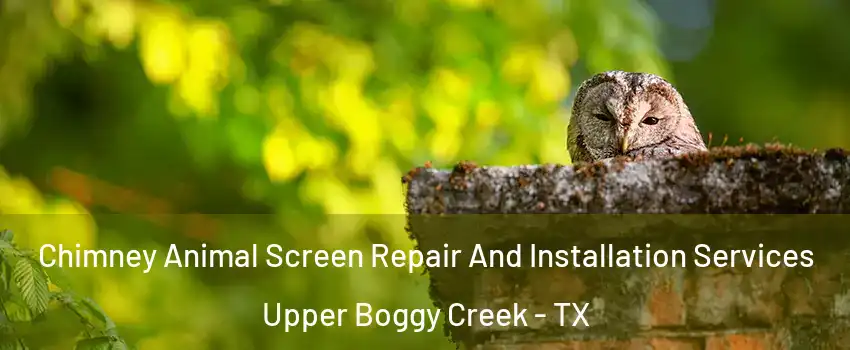 Chimney Animal Screen Repair And Installation Services Upper Boggy Creek - TX