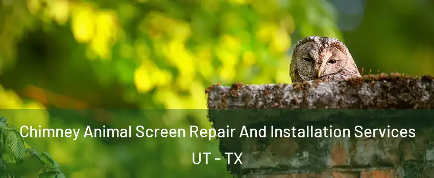 Chimney Animal Screen Repair And Installation Services UT - TX