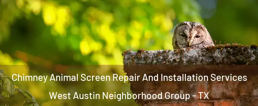 Chimney Animal Screen Repair And Installation Services West Austin Neighborhood Group - TX