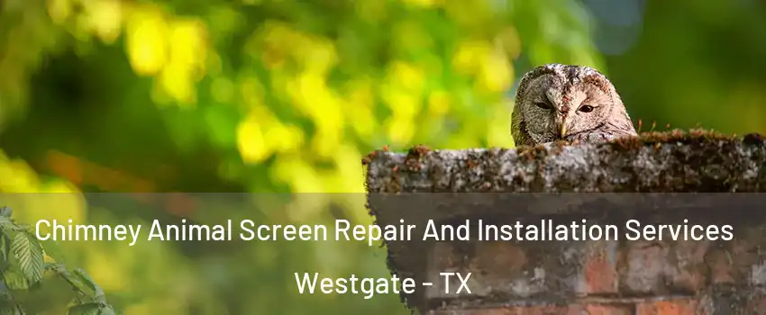 Chimney Animal Screen Repair And Installation Services Westgate - TX