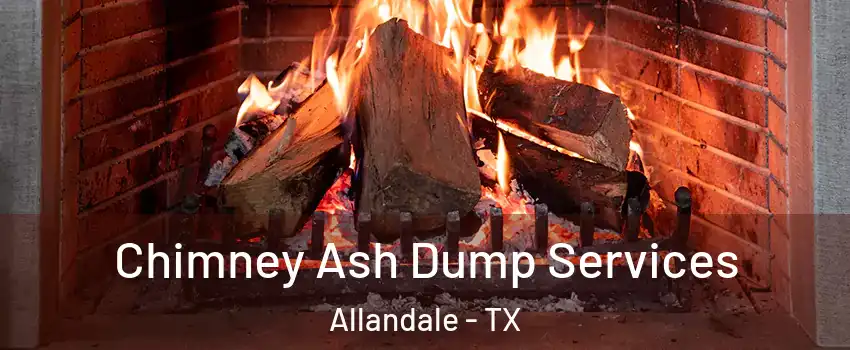 Chimney Ash Dump Services Allandale - TX