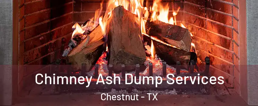 Chimney Ash Dump Services Chestnut - TX