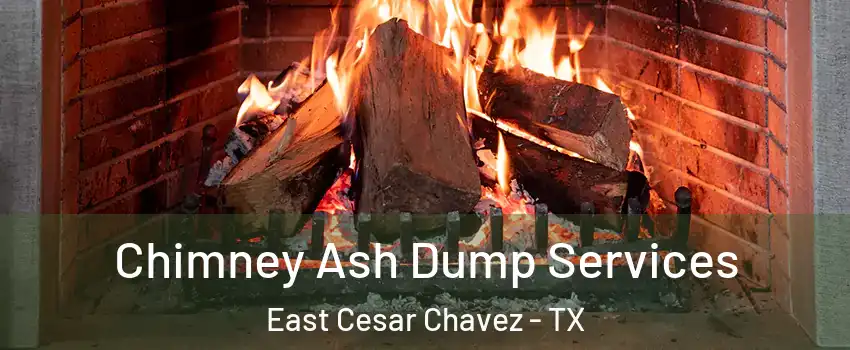 Chimney Ash Dump Services East Cesar Chavez - TX