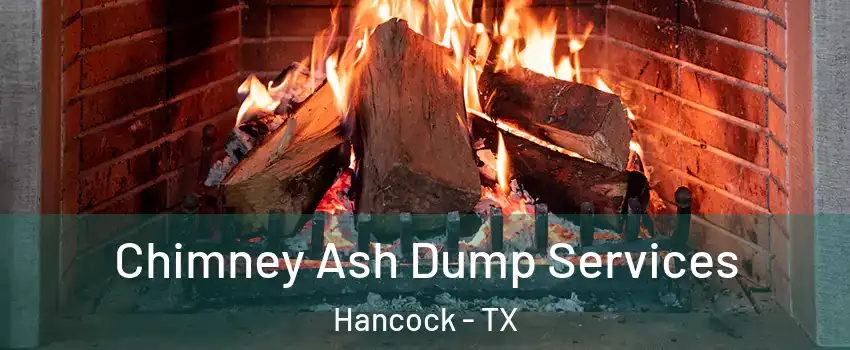 Chimney Ash Dump Services Hancock - TX