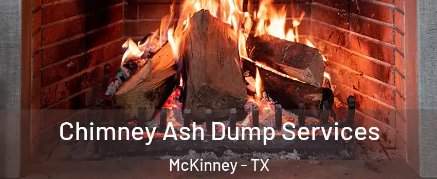 Chimney Ash Dump Services McKinney - TX