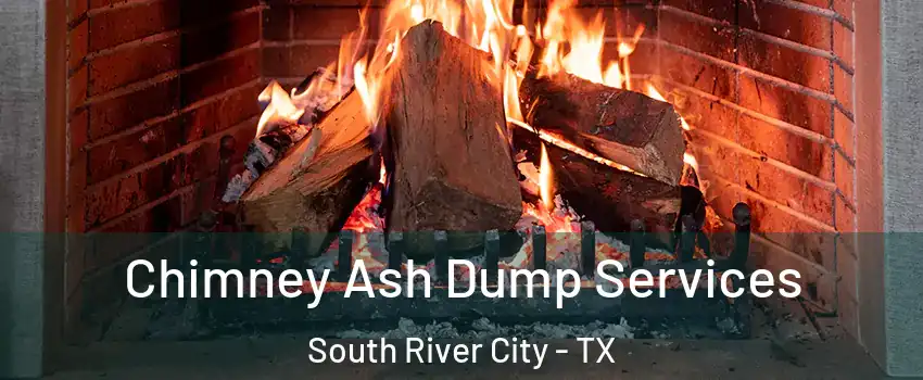 Chimney Ash Dump Services South River City - TX