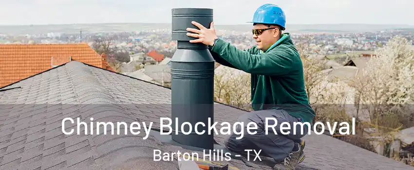 Chimney Blockage Removal Barton Hills - TX