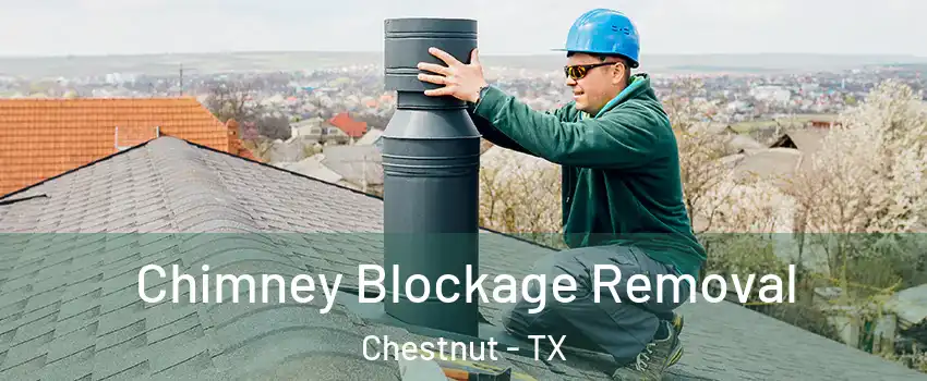 Chimney Blockage Removal Chestnut - TX