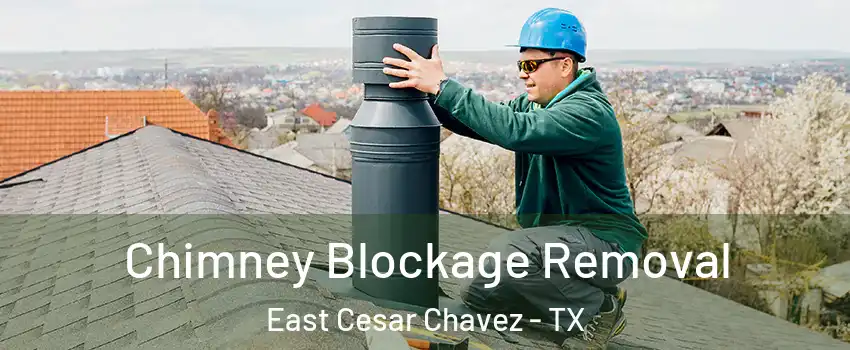 Chimney Blockage Removal East Cesar Chavez - TX