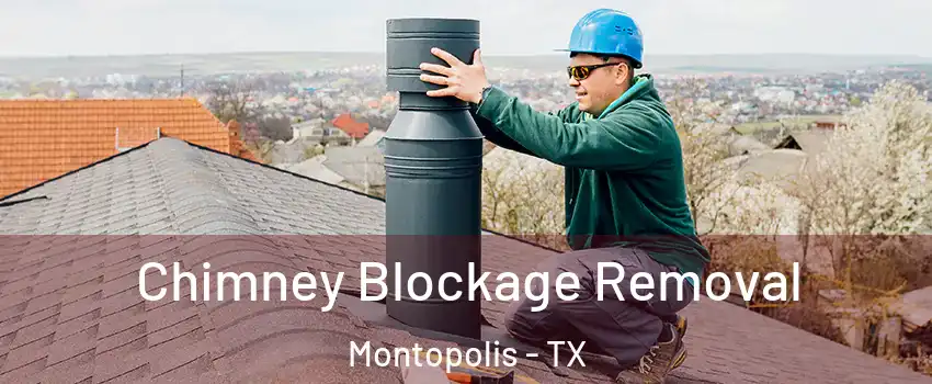 Chimney Blockage Removal Montopolis - TX