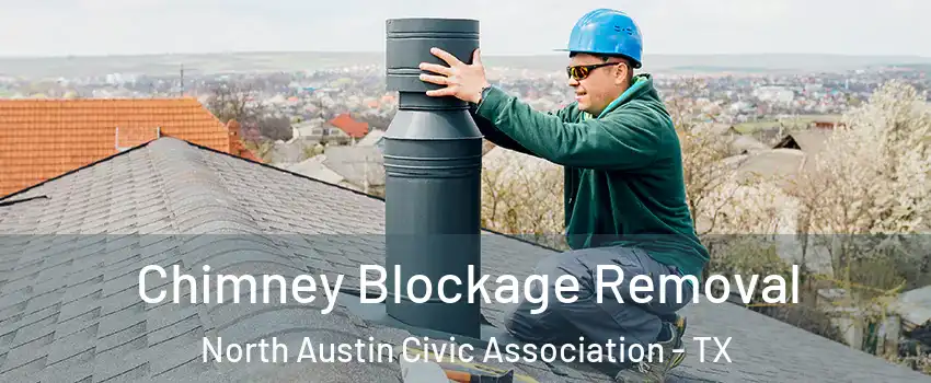 Chimney Blockage Removal North Austin Civic Association - TX