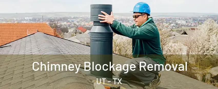 Chimney Blockage Removal UT - TX