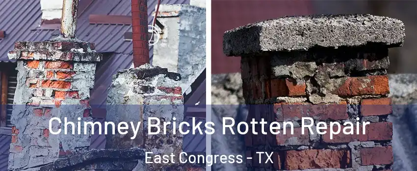 Chimney Bricks Rotten Repair East Congress - TX