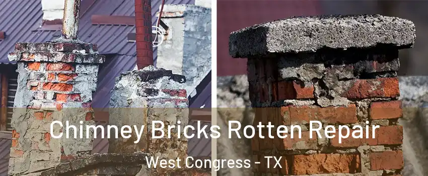 Chimney Bricks Rotten Repair West Congress - TX