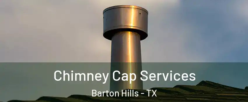 Chimney Cap Services Barton Hills - TX