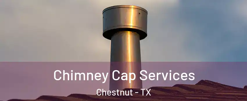 Chimney Cap Services Chestnut - TX