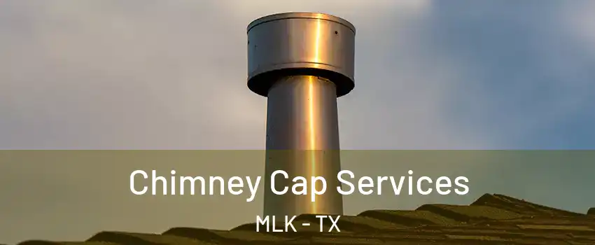 Chimney Cap Services MLK - TX