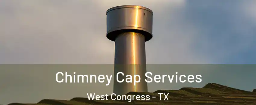 Chimney Cap Services West Congress - TX