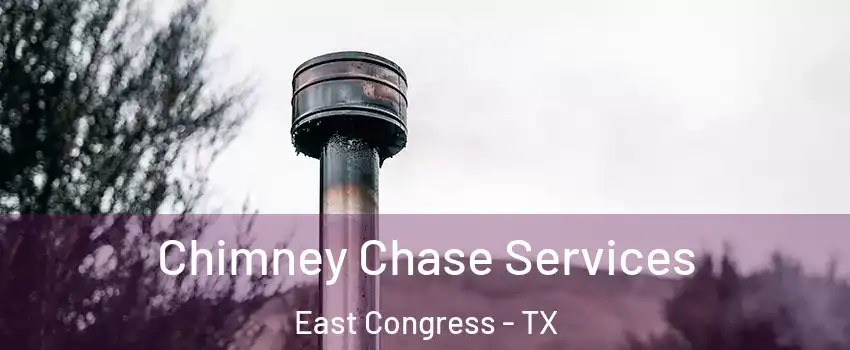 Chimney Chase Services East Congress - TX