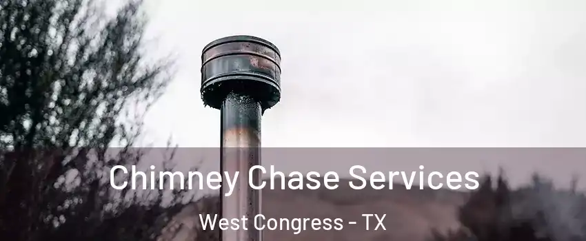 Chimney Chase Services West Congress - TX