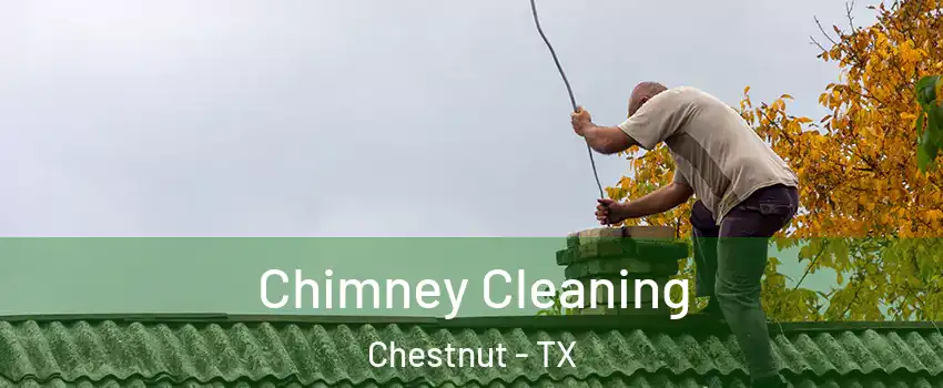 Chimney Cleaning Chestnut - TX