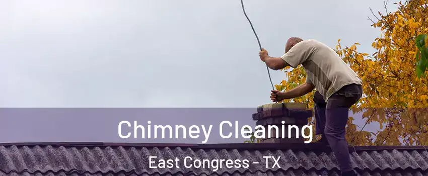 Chimney Cleaning East Congress - TX