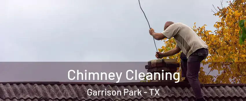 Chimney Cleaning Garrison Park - TX