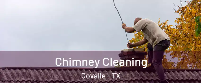 Chimney Cleaning Govalle - TX