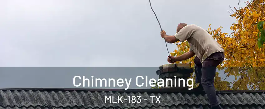 Chimney Cleaning MLK-183 - TX