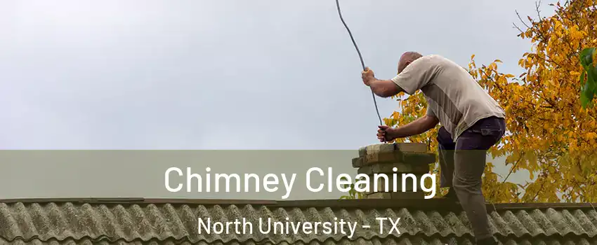 Chimney Cleaning North University - TX