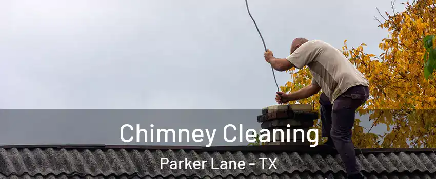 Chimney Cleaning Parker Lane - TX