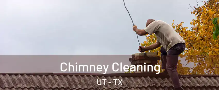 Chimney Cleaning UT - TX