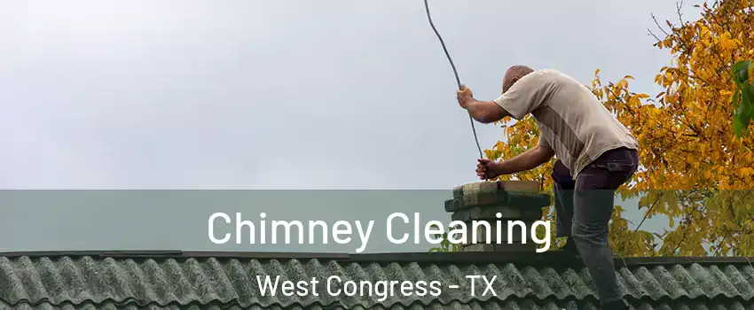 Chimney Cleaning West Congress - TX