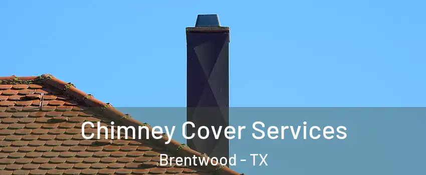 Chimney Cover Services Brentwood - TX